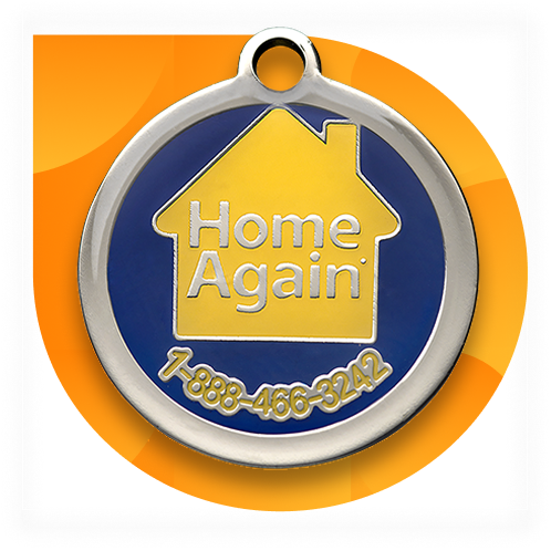 HomeAgain collar tag